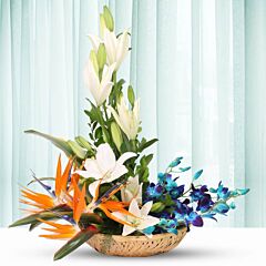 Arrangement of White Asiatic Lilies, Bop and Blue Orchids