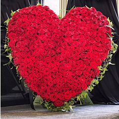 Heart Shape Arrangement of 200 Red Roses