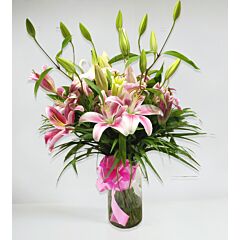 Lush Pink Oriental Lilies in a Glass Vase.
