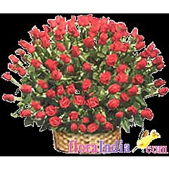 200 red roses nicely arranged in a basket