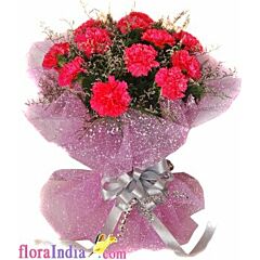 Bunch of 10 Red Carnations in Pink Packing