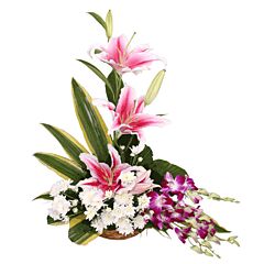 arrangement of Pink Oriental Lilies, Orchids and White Daisies