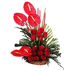 Handled Basket Arrangement of Red Roses and Red Anthuriums