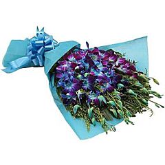 One Sided Bunch of Blue orchids in a blue paper