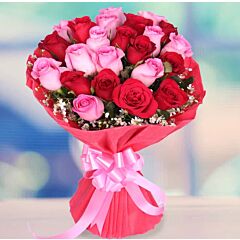 Bunch of 24 Pink and Red Roses