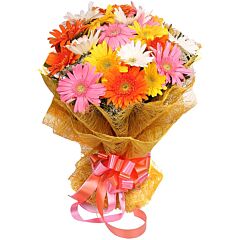 Bunch of 20 Mix Gerberas