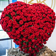 100 Red Roses in Heart Shape 