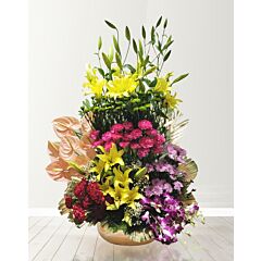 A vibrant Profusion Basket of Lilies, Daisies, Anthuriums, Carnations, and Orchids 